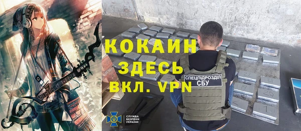 индика Алексеевка