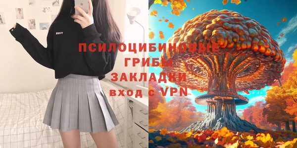 дмт Алексин